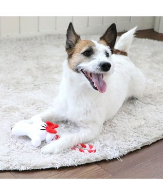 PET PARADISE 【8/4 価格改定対象品】 ディズニー ミニーマウス 《手のロープトイ》 -