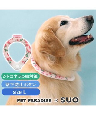  ペットパラダイス 28℃クールリング SUO 《いちご柄》 〔Ｌ〕 大型犬