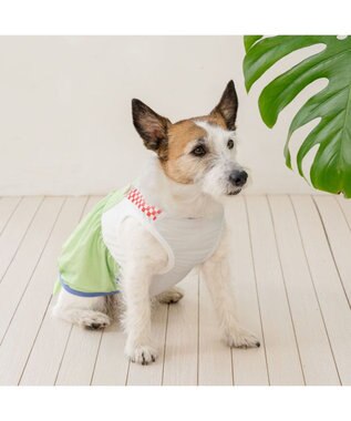PET PARADISE ディズニー トイ・ストーリー エイリアン お顔 ポケットクール タンクトップ 小型犬 グリーン