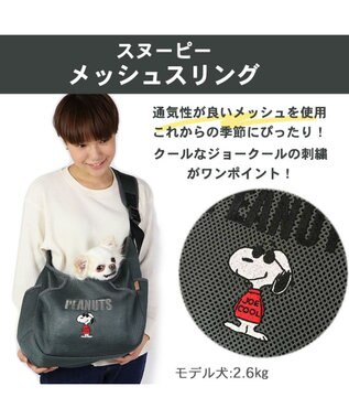 PET PARADISE スヌーピーソフト メッシュ 【超小型犬】 グレー