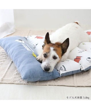PET PARADISE スヌーピー ごろ寝マット 小型犬 SNOOPY