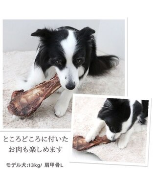 PET PARADISE 鹿 肩甲骨 デンタルおやつ Lサイズ×1本 純国産 鹿 肩甲骨
