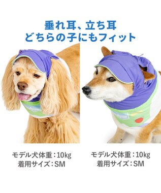 PET PARADISE ディズニー トイ・ストーリー バズ 保冷付き帽子 ＳＭ 中型犬 パープル
