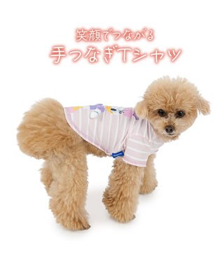 PET PARADISE ディズニー デイジーダック 手つなぎＴシャツ 接触冷感 小型犬 ピンク