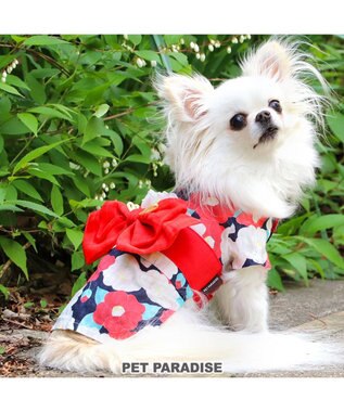 PET PARADISE 犬の服 夏 犬服 浴衣 椿柄 赤  【小型犬】