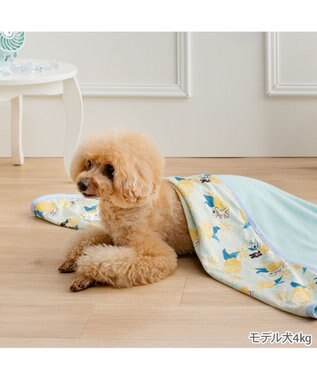 PET PARADISE リサとガスパール シトラス クール ブランケット イエロー