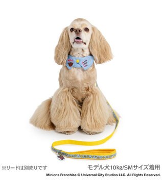 PET PARADISE ミニオン デニム襟付き首輪 ＳＭ 中型犬 ブルー