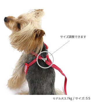 PET PARADISE ペットパラダイス ハーネス＆リード  スカラップカラー《いちご柄 》 Ｓ 小型犬 いちご柄