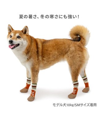 PET PARADISE ペットパラダイス ボーダー フィット靴 ＳＭ ベージュ×レッド