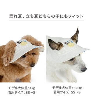 PET PARADISE リサとガスパール シトラス リネン 帽子 ４Ｓ～３Ｓ/ＳＳ～Ｓ 小型犬 ベージュ
