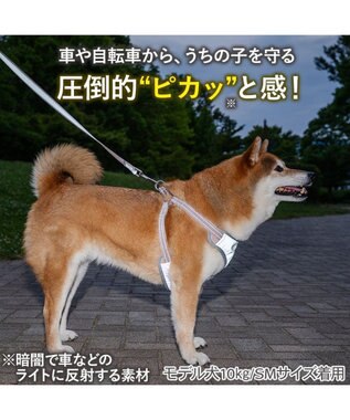 PET PARADISE ペットパラダイス 超反射 切り替え ハーネス＆リード Ｍ 《ブルーグリーン》 ブルーグリーン