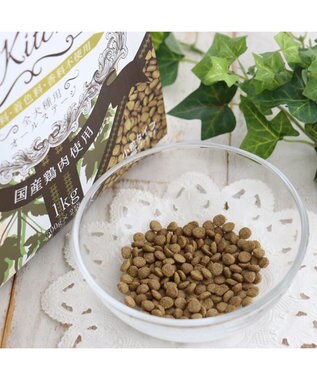 PET PARADISE ペットパラダイス ドッグフード ビオキッチン 3kg 国産 -