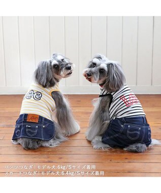 PET PARADISE Lee パンツつなぎ 《鹿子ボーダー》 小型犬 鹿子ボーダー