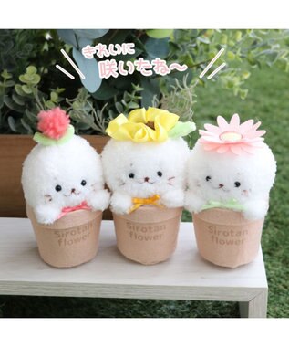 Mother garden しろたん フラワー マスコット8.5cm　《ダリア / ひまわり / ガーベラ 》 単品 ダリア
