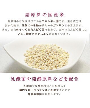 PET PARADISE ペットパラダイス 国産 ドッグフード ビオキッチン 1kg ＆ フローラ 1kg お試しセット