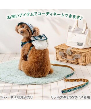 PET PARADISE ペットパラダイス リュックハーネス 《アーガイル柄》 ３Ｓ ホワイト