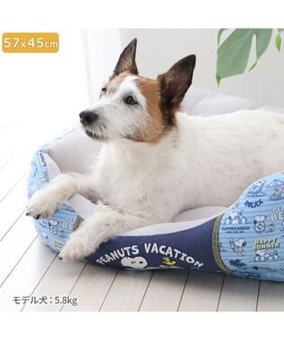 PET PARADISE スヌーピー クールカドラー 角型《バケーション柄》 小型犬 バケーション柄