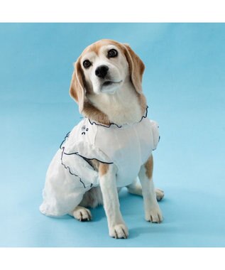 PET PARADISE ペットパラダイス フロッキー お花 ワンピース 《ホワイト》  中型犬 大型犬 ホワイト