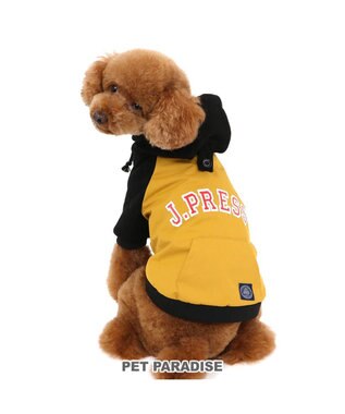  J.PRESS ウィンドパーカー フード付き《イエロー》 小型犬