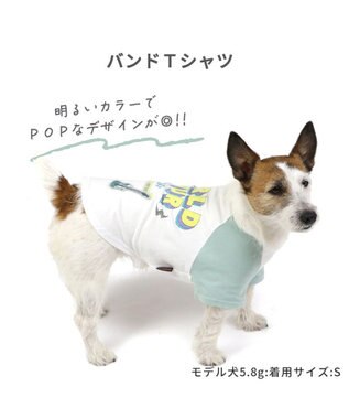 PET PARADISE ペットパラダイス Tシャツ 《バンド柄》【小型犬】 白～オフホワイト
