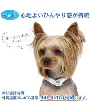 PET PARADISE クールリング 犬 クールネック ひんやり 28℃クールリング 【３Ｓ】 リフレクター 水色 ベージュ  反射材付き ベージュ ３Ｓ
