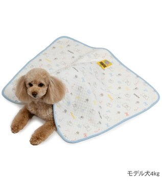 PET PARADISE ディズニー ダンボ キルトブランケット ホワイト