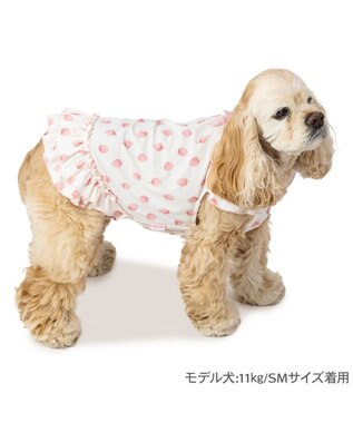 PET PARADISE ペットパラダイス タッチワンクールプラス Tシャツ 《いちご》 中型犬 大型犬 ホワイト×ピンク