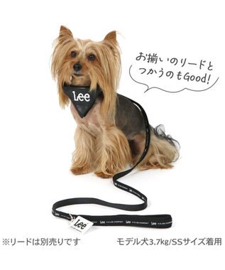 PET PARADISE Ｌｅｅ クッション バンダナ 首輪 Ｓ ブラック