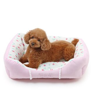 PET PARADISE ペットパラダイス クールカドラー 角型《いちご＆お花柄》 小型犬 いちご＆お花柄