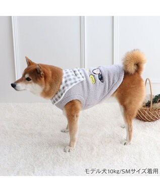 PET PARADISE スヌーピー 遠赤外線 ライナス セーラーニット 中型犬 グレー