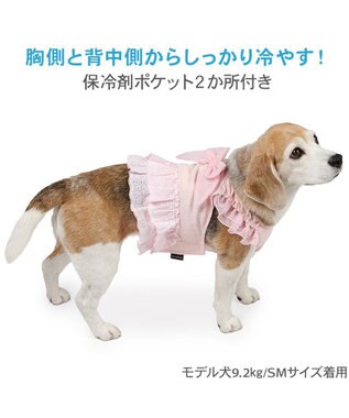 PET PARADISE ペットパラダイス レース ポケットクールベスト 中型犬 大型犬 ピンク