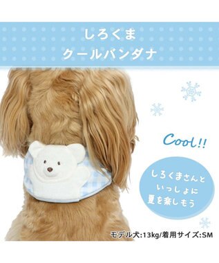 PET PARADISE クールネック バンダナ《 ボタニカル/ しろくま/シフォン襟》 保冷剤付き 【中型犬】【大型犬】 しろくま