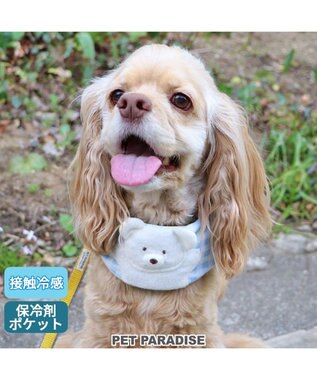 PET PARADISE クールネック バンダナ《 ボタニカル/ しろくま/シフォン襟》 保冷剤付き 【中型犬】【大型犬】 しろくま