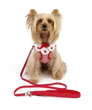 PET PARADISE ペットパラダイス ハーネス＆リード  スカラップカラー《いちご柄 》 ＳＳ 小型犬 いちご柄