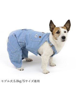 PET PARADISE Lee ライトデニム オーバーオール 小型犬 ブルー