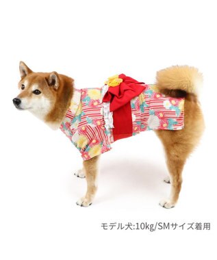 PET PARADISE ペットパラダイス 浴衣 《菊柄》  中型犬 大型犬 菊柄
