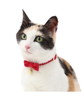 PET PARADISE 猫用 首輪 コーデュロイ 【小】 【中】  レッド