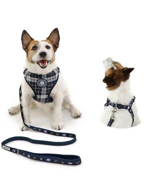 PET PARADISE J.PRESS ビエラチェック ハーネス リード【ＳＳ】小型犬 マルチカラー
