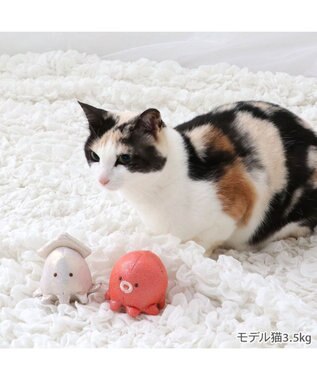 PET PARADISE ペットパラダイス 猫 イカたこツインズ　ボール マルチカラー