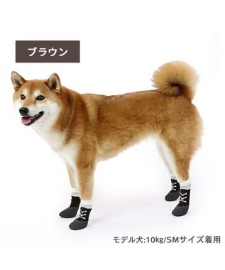 PET PARADISE 犬 靴 靴下 フィットシューズ 【SM】 グリーン ブラウン ブラウン