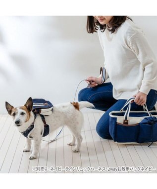 PET PARADISE ペットパラダイス ネイビー ライン入り リード ＳＳ～Ｓ 小型犬 ホワイト×ネイビー