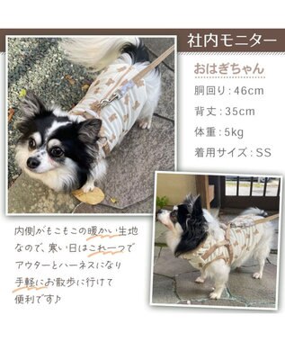 PET PARADISE Lee アウターハーネス 《牛柄》 小型犬 オフホワイト×ブラウン
