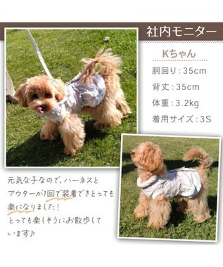 PET PARADISE Lee アウターハーネス 《牛柄》 小型犬 オフホワイト×ブラウン