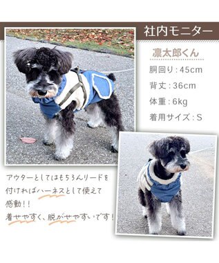 PET PARADISE Lee アウターハーネス 《牛柄》 小型犬 オフホワイト×ブラウン