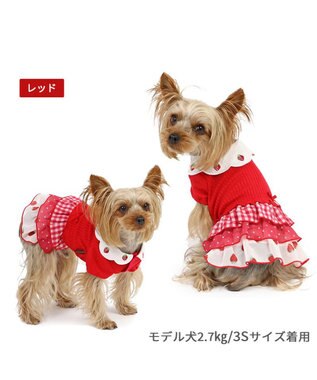 PET PARADISE ペットパラダイス 苺刺繍 ワンピース  スカラップカラー 《レッド》 小型犬 レッド