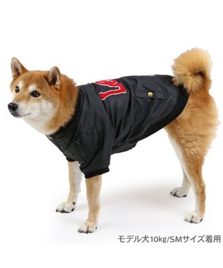 PET PARADISE Lee サガラ刺繍 ブルゾン 中型犬 黒