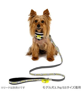 PET PARADISE スヌーピー ＪOE COOL 反射首輪 リーバシブル仕様 ＳＳ ホワイト×グレー
