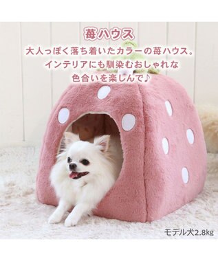 PET PARADISE ペットパラダイス くすみ苺 ハウス M (38×38×40cm) 超小型犬 ピンク