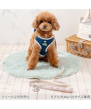 PET PARADISE リサとガスパール ラインリード ＳＳ～Ｓ ベージュ