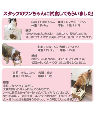 PET PARADISE ペットパラダイス  国産 ドッグフード フローラ3kg -